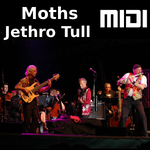 Moths
