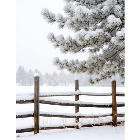 WHITE CHRISTMAS (COUNTRY)